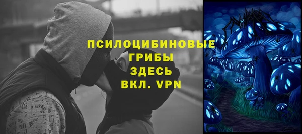 индика Вяземский