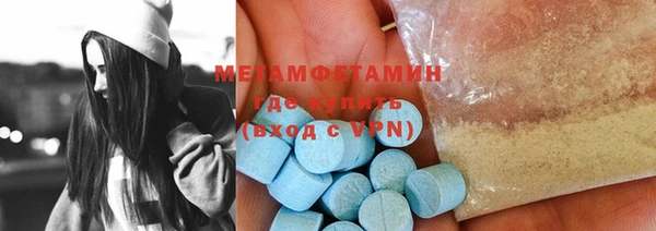 индика Вяземский