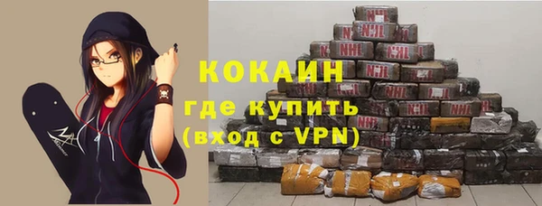 индика Вяземский