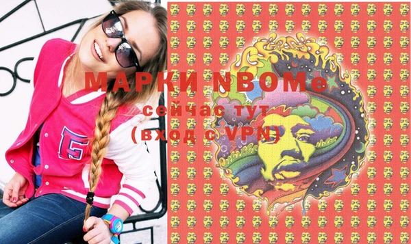 индика Вяземский