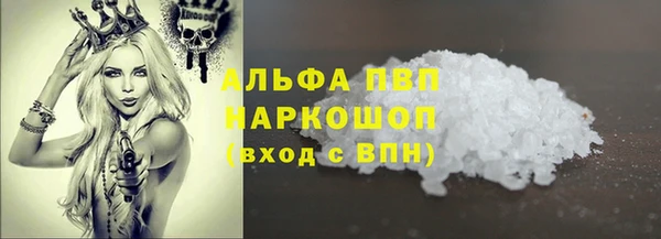 индика Вяземский