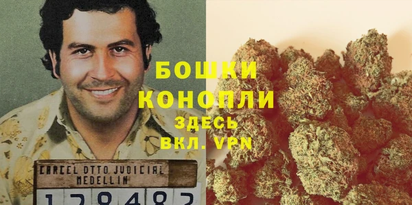 индика Вяземский