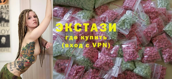 индика Вяземский