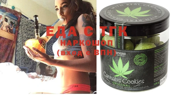 индика Вяземский