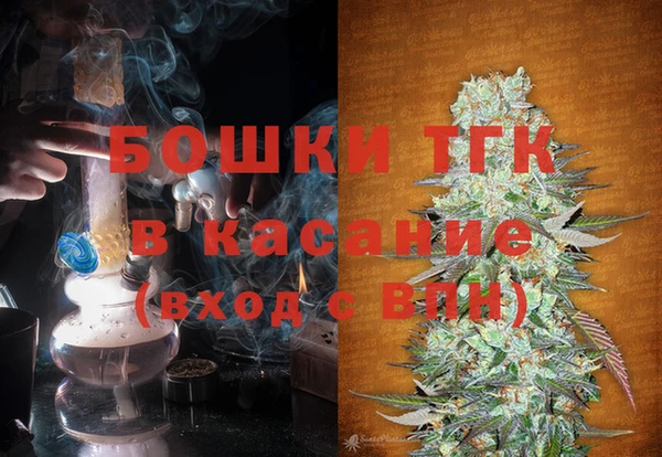 индика Вяземский