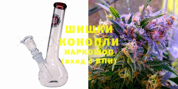 индика Вяземский