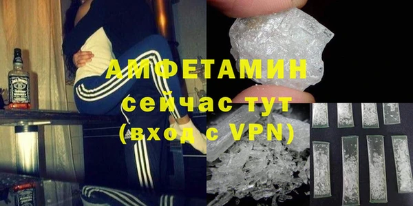 индика Вяземский