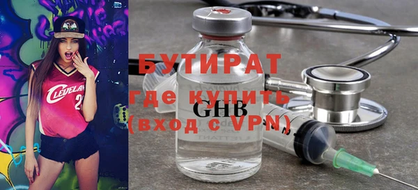 индика Вяземский