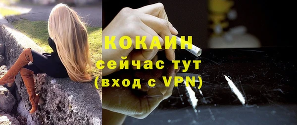 индика Вяземский