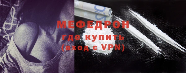 индика Вяземский