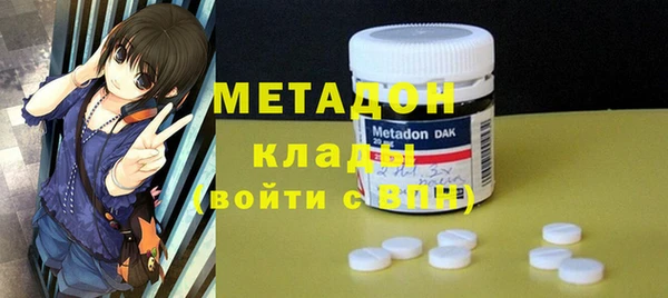 индика Вяземский