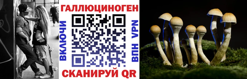 Галлюциногенные грибы мухоморы  Купить где  Красный Холм 